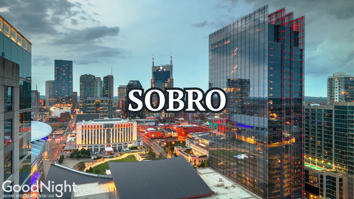 A panoramic view of Nashville’s skyline at dusk, illuminated by colorful city lights reflecting off buildings. The scene radiates an energetic urban mood, suggesting the vibrancy and variety of entertainment options throughout the city.
